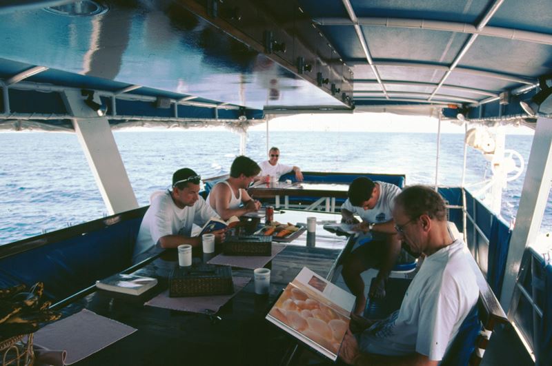 Schattendeck Safariboot Genesis 1