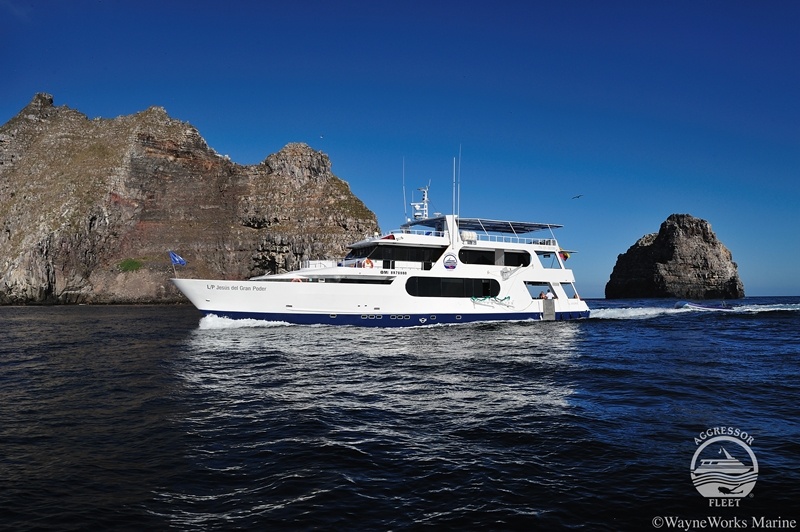 Tauchsafarischiff Galapagos Aggressor