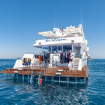 Tauchplattform Safarischiff Red Sea Explorer