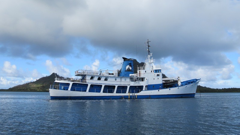 übersicht-ss-thorfinn Tauchschiff SS Thorfinn
